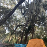Review photo of Little Talbot Island State Park Campground by Roger F., March 7, 2021