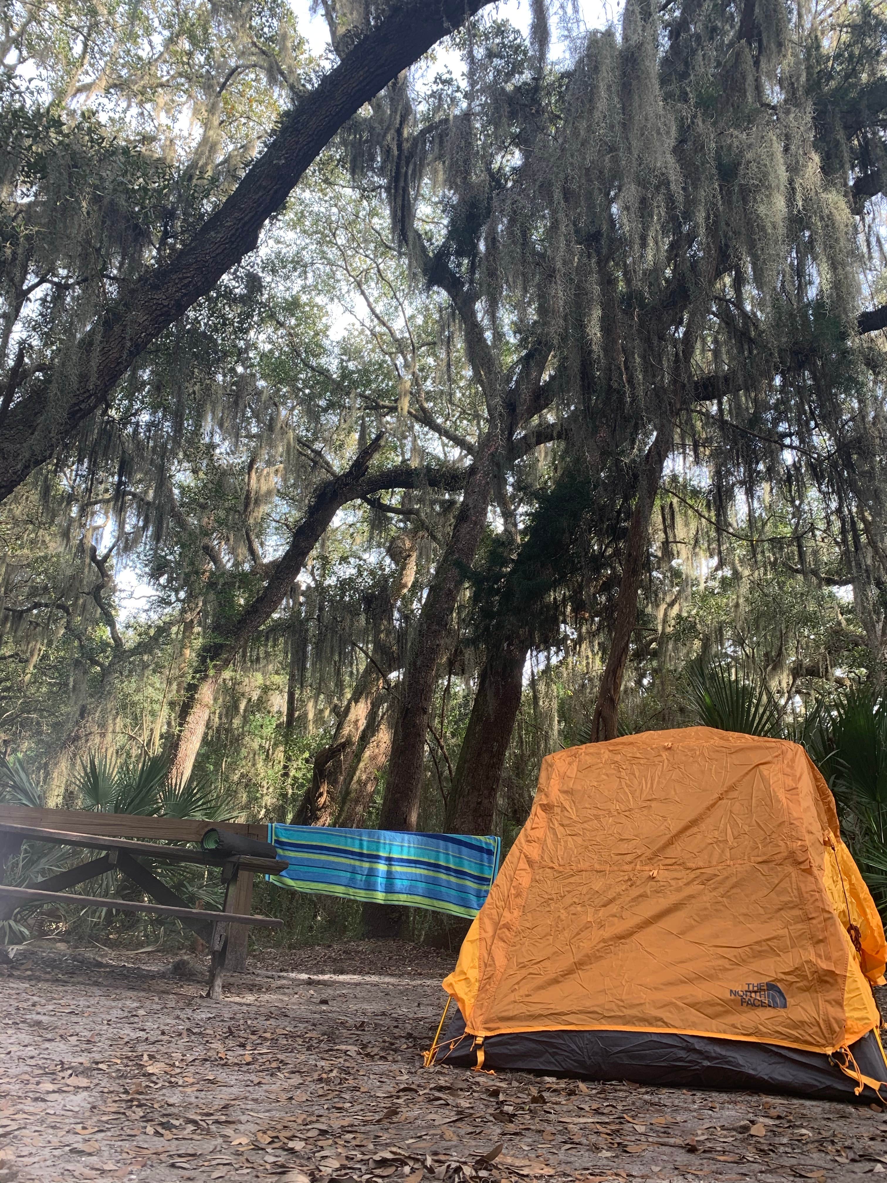 Camper submitted image from Little Talbot Island State Park - 1