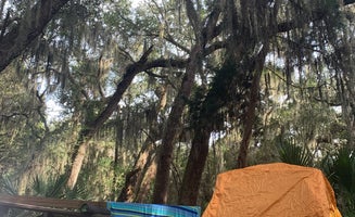 Camper-submitted photo from Little Talbot Island State Park