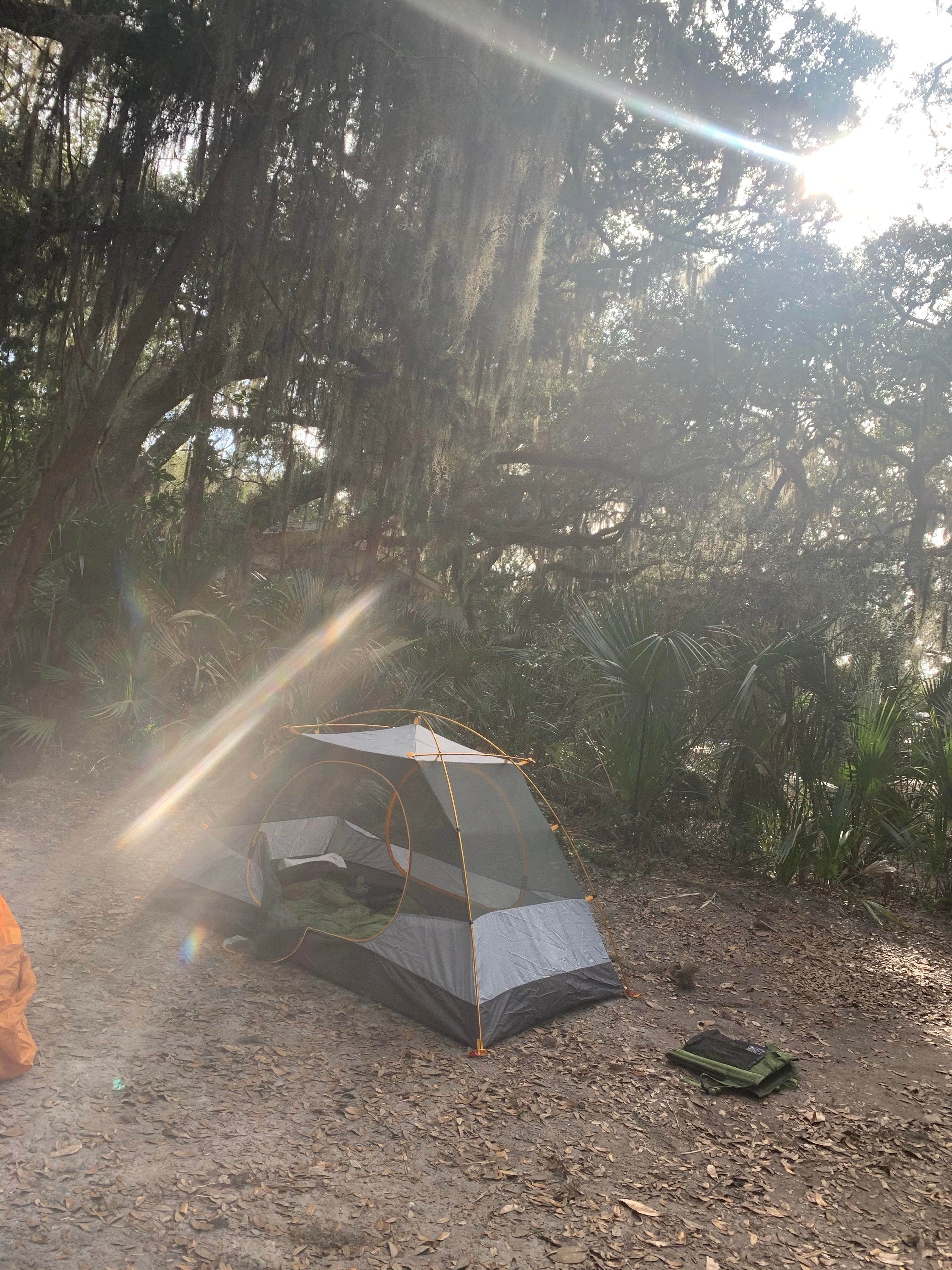 Roger F.'s photo at Little Talbot Island State Park Campground near Fernandina Beach, FL
