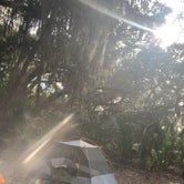 Review photo of Little Talbot Island State Park Campground by Roger F., March 7, 2021