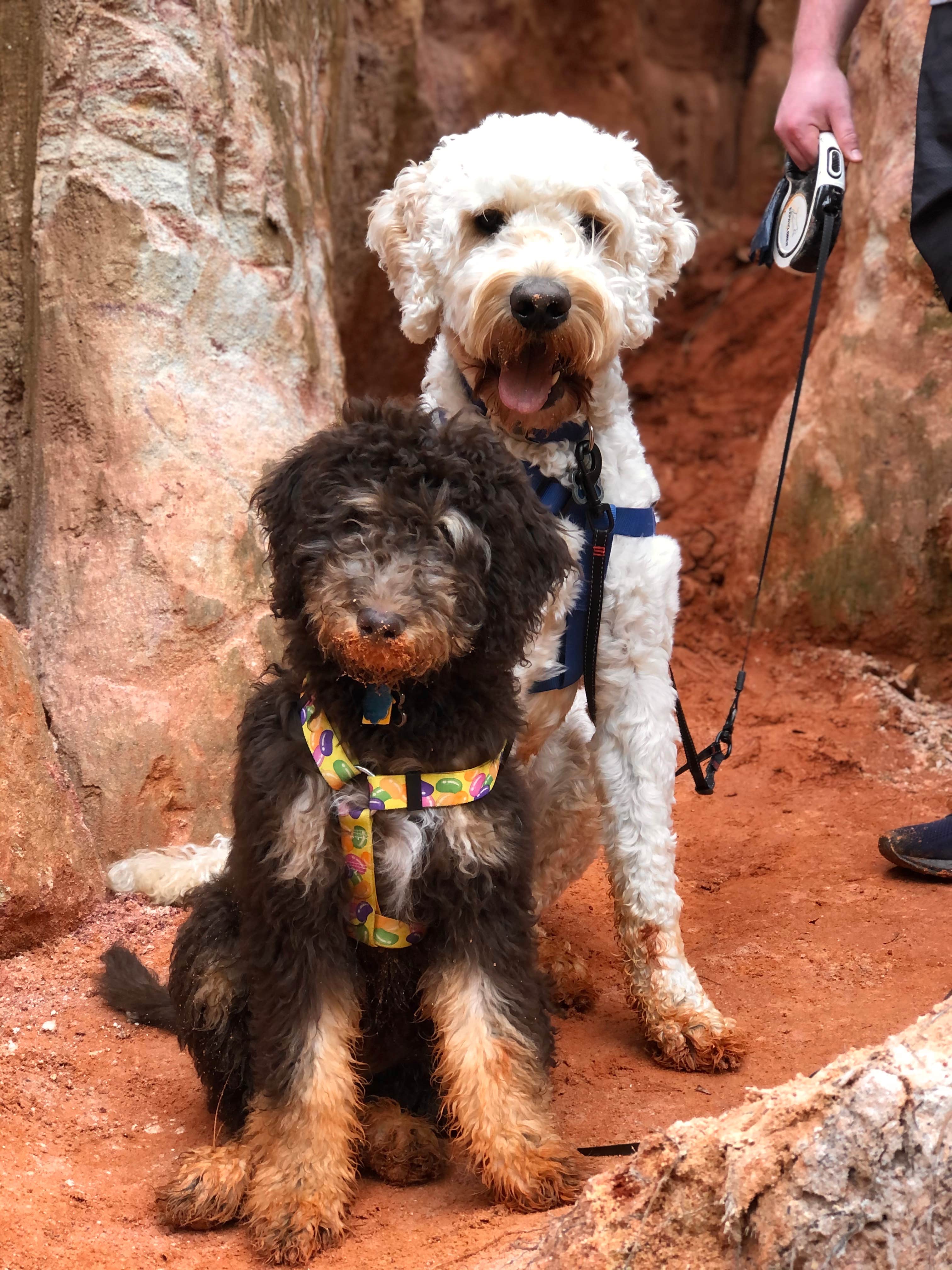 Camper submitted image from Providence Canyon State Park Campground - 1