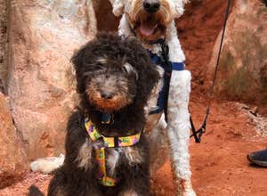 Providence Canyon State Park Campground
