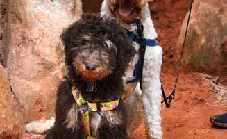 Kayln T.'s photo of camping with pets at Providence Canyon State Park Campground near Columbus, GA