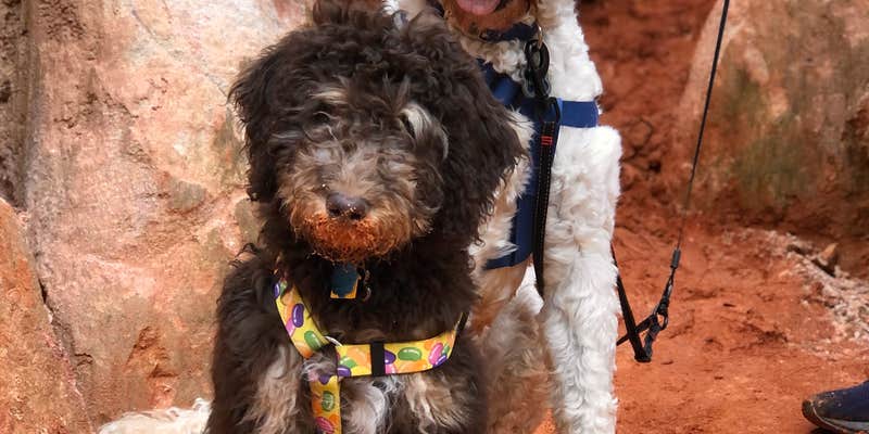 Camper submitted image from Providence Canyon State Park Campground