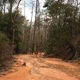 Review photo of Providence Canyon State Park Campground by Kayln T., March 7, 2021