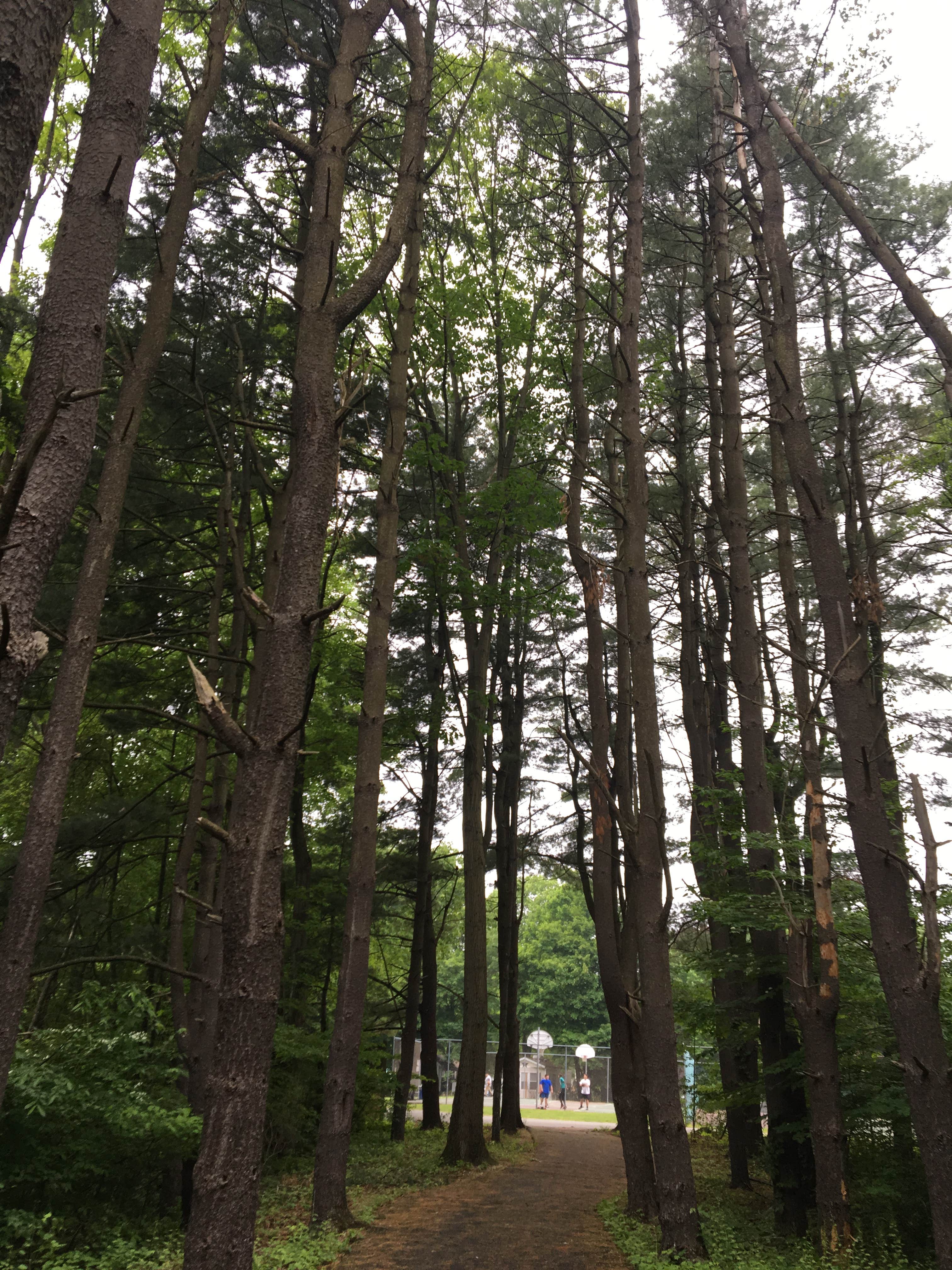 Camper-submitted photo at Panther Lake Camping Resort near Verona, NJ