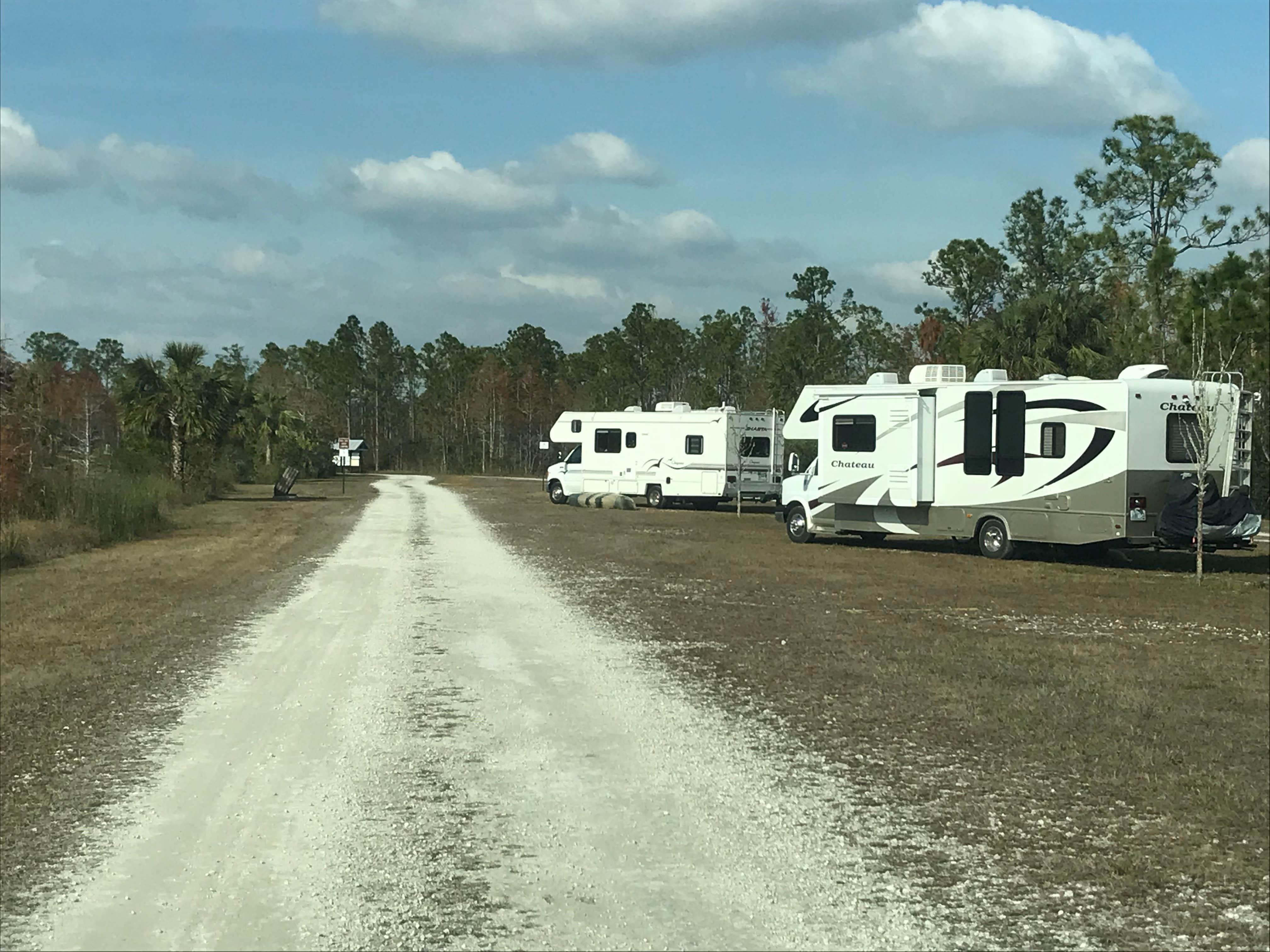 Camper submitted image from Burns Lake Campground — Big Cypress National Preserve - 5