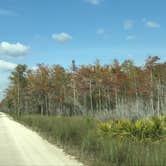 Review photo of Burns Lake Campground — Big Cypress National Preserve by Dave V., October 1, 2016