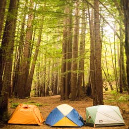 Albee Creek Camp — Humboldt Redwoods State Park