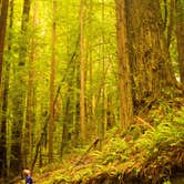 Review photo of Albee Creek Campground — Humboldt Redwoods State Park by Corey O., March 7, 2021