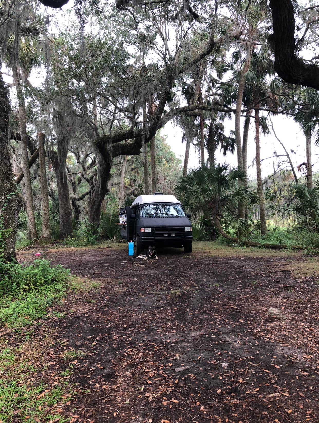 Camping near Thousand Trails Three Flags: Hammock Camp, Fruitland Park, Florida