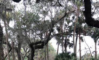 Camping near Lake Griffin State Park Campground: Hammock Camp, Fruitland Park, Florida