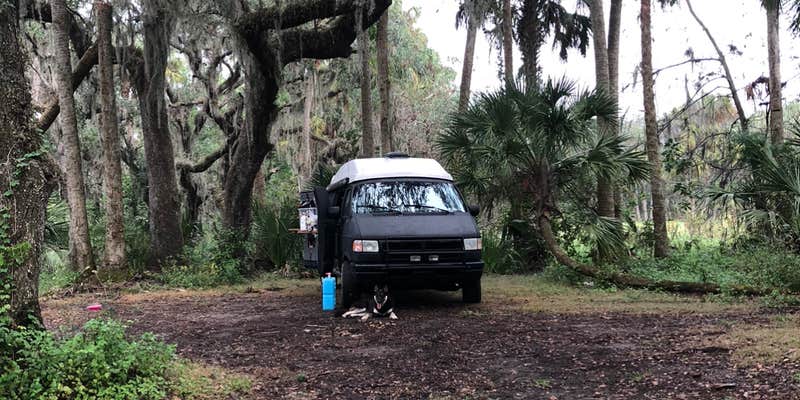 Camper submitted image from Hammock Camp