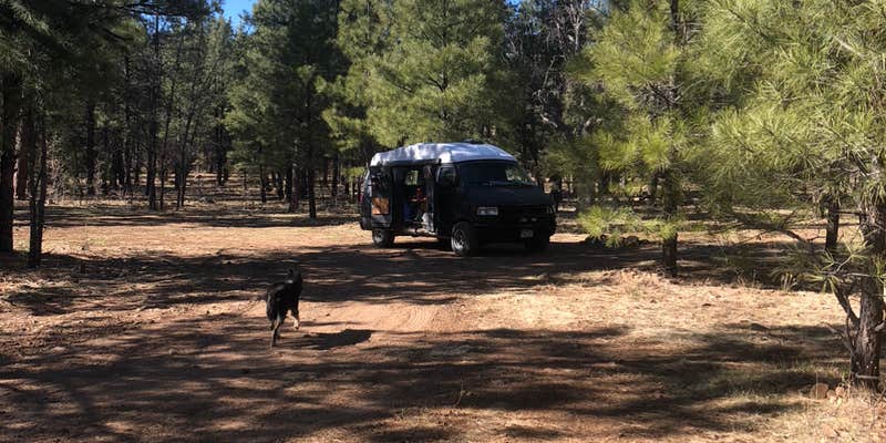 Camper submitted image from Schnebly Hill Rd, Fox Borough Dam