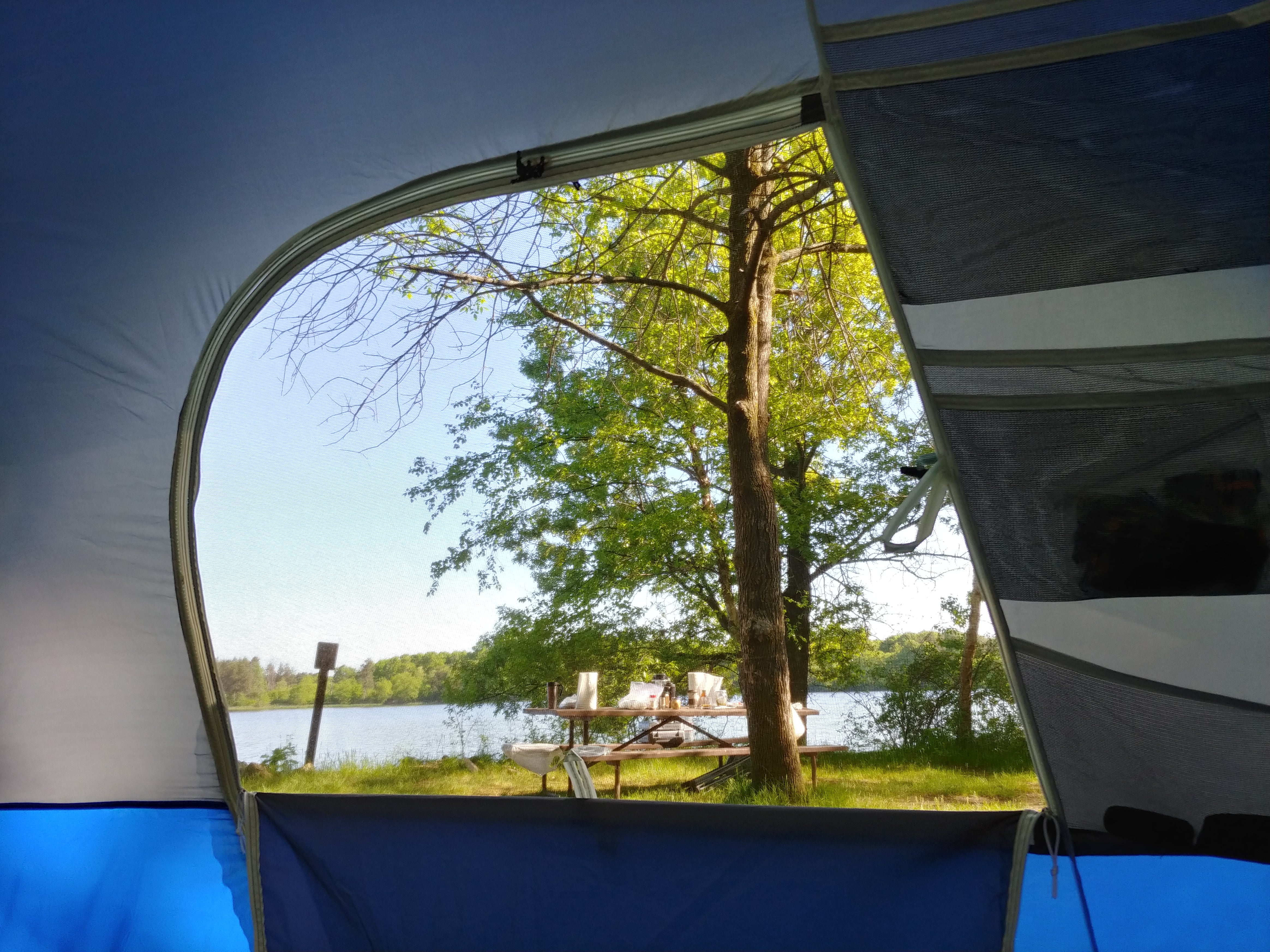 Camper submitted image from Buckhorn State Park Campground - 5
