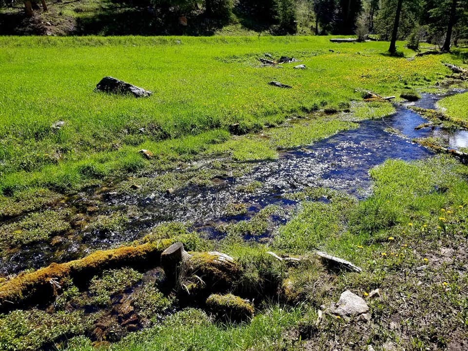 Camper-submitted photo at Black Fox Campground near Lead, SD
