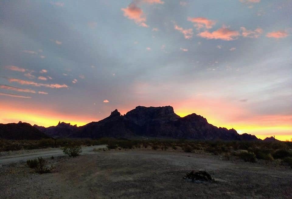 Kofa National Wildlife Refuge | The Dyrt