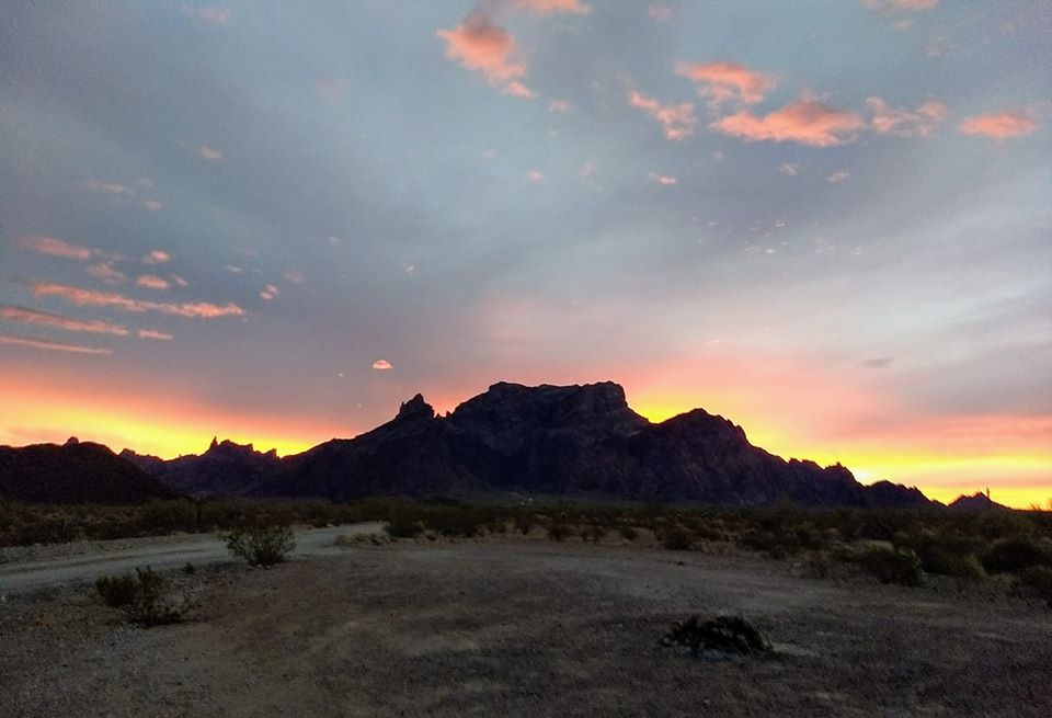 Camper submitted image from Kofa National Wildlife Refuge - 2