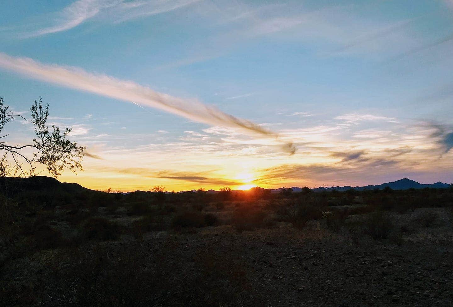 Camper-submitted photo at Kofa National Wildlife Refuge near Dateland, AZ
