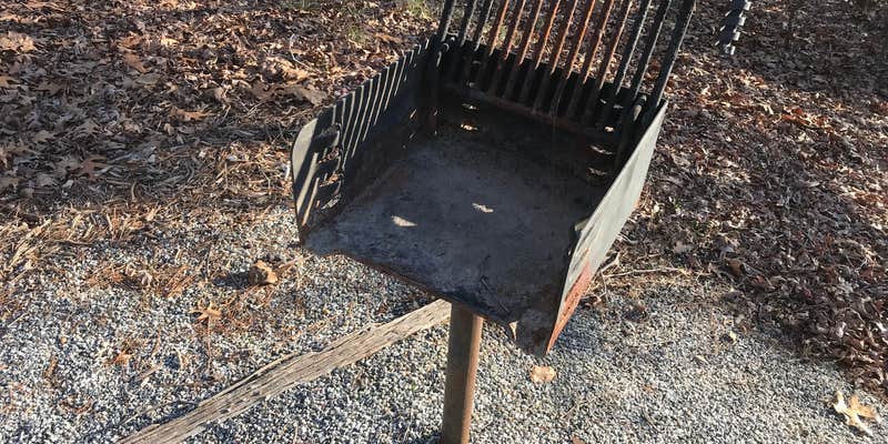 Camper submitted image from Shady Grove Campground