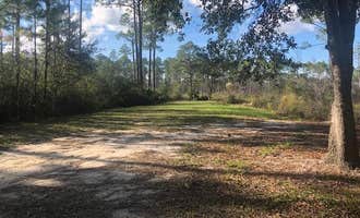 Camping near Presnell's Bayside Marina and RV Resort: Tate's Hell State Forest High Bluff Primitive Campsites, FL, Eastpoint, Florida