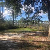 Review photo of Tate's Hell State Forest High Bluff Primitive Campsites, FL by Vince F., March 7, 2021