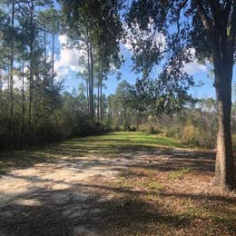 Tate's Hell State Forest High Bluff Primitive Campsites, FL