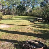 Review photo of Tate's Hell State Forest High Bluff Primitive Campsites, FL by Vince F., March 7, 2021