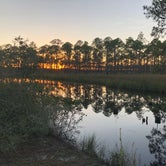 Review photo of Tate's Hell State Forest High Bluff Primitive Campsites, FL by Vince F., March 7, 2021