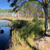 Review photo of Tate's Hell State Forest High Bluff Primitive Campsites, FL by Vince F., March 7, 2021