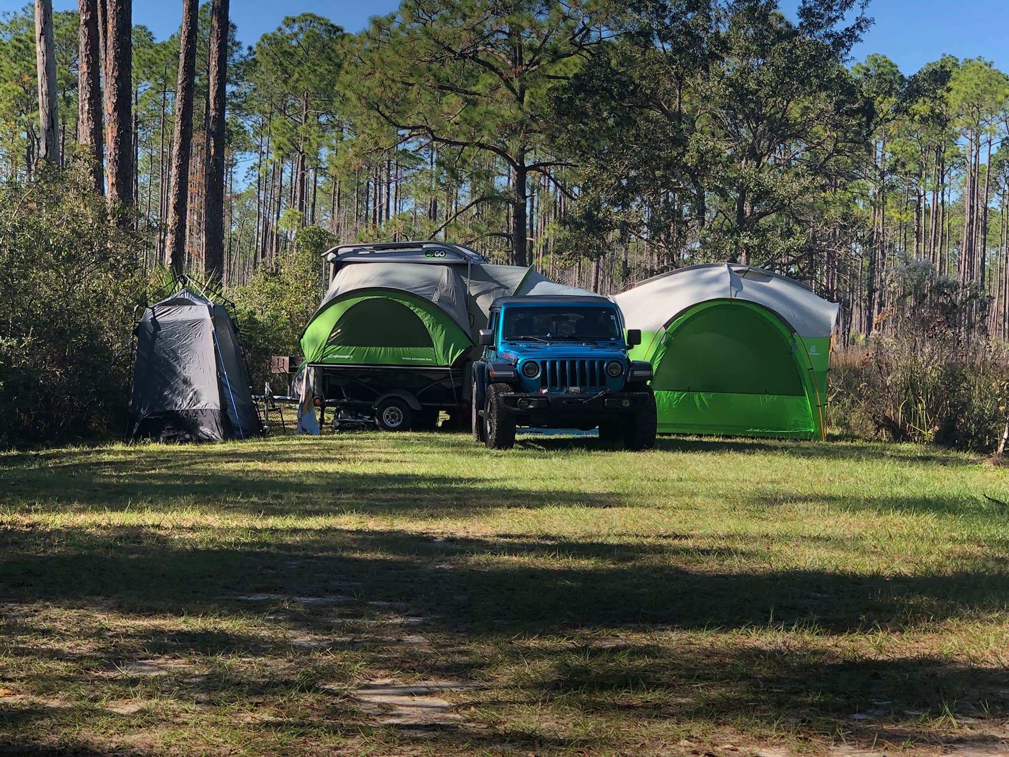 Camper submitted image from Tate's Hell State Forest High Bluff Primitive Campsites, FL - 3