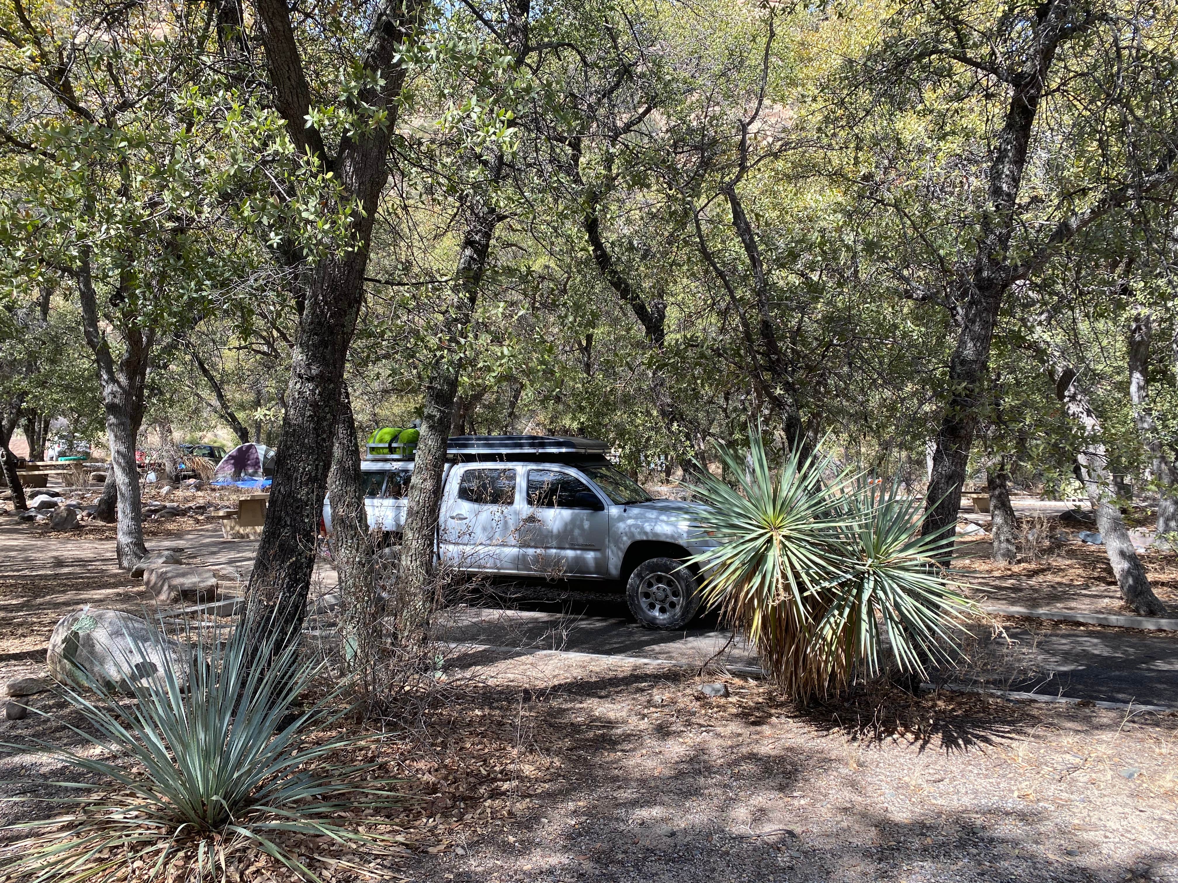 Camper submitted image from Cochise Stronghold Campground - 1