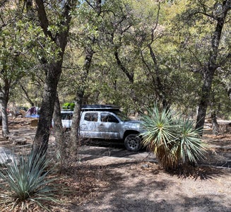 Camper-submitted photo from Cochise Stronghold Campground
