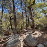 Review photo of Cochise Stronghold Campground by Dave , March 7, 2021