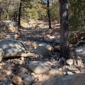 Review photo of Cochise Stronghold Campground by Dave , March 7, 2021