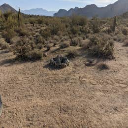 Bulldog Canyon Dispersed Camping - North Entrance