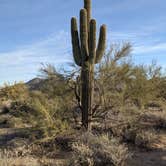 Review photo of Bulldog Canyon Dispersed Camping - North Entrance by Keith J., March 7, 2021