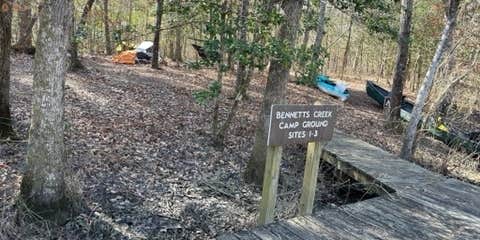 Camper submitted image from Bennetts Creek Canoe In Campground — Merchants Millpond State Park