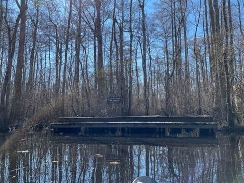 Camper-submitted photo at Bennetts Creek Canoe In Campground — Merchants Millpond State Park near Suffolk, VA