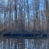 Review photo of Merchants Millpond State Park Campground by todd B., March 7, 2021