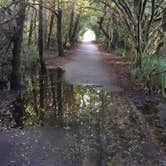 Review photo of South Beach State Park Campground by Rocco , March 8, 2021