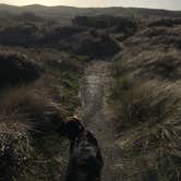 Review photo of South Beach State Park Campground by Rocco , March 8, 2021