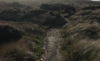 Rocco's photo of camping with pets at South Beach State Park Campground near Toledo, OR