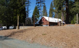 Shawn A.'s photo of glamping accommodations at Inntown Campground near Martis Creek Lake