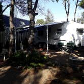 Review photo of Sea and Sand RV Park by Robert D., March 8, 2021