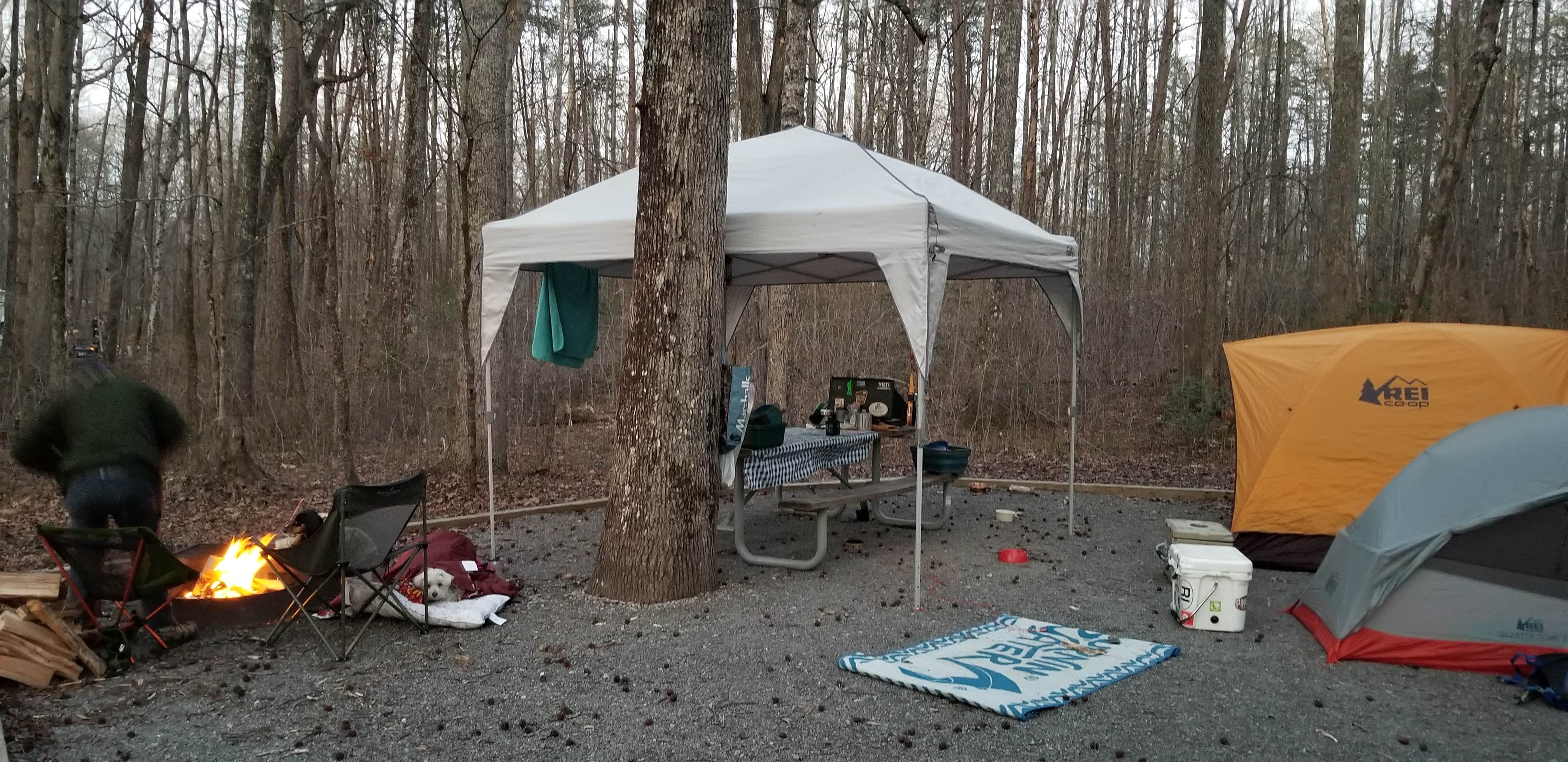 Katrin M.'s photo at Foster Falls Campground — South Cumberland State Park near Altamont, TN