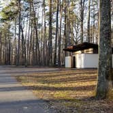 Review photo of Foster Falls Campground — South Cumberland State Park by Katrin M., March 7, 2021