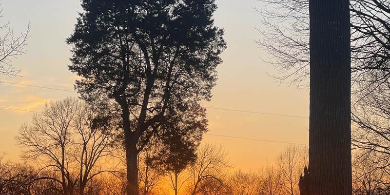 Camper submitted image from Louisville South KOA