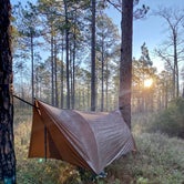 Review photo of Black Water River State Forest Primitive Camping by Wayne H., March 8, 2021